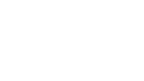 ToroVerde White Logo
